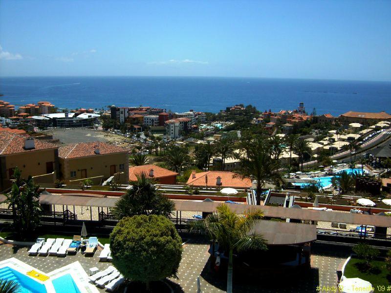 Melia Jardines Del Teide (13).JPG